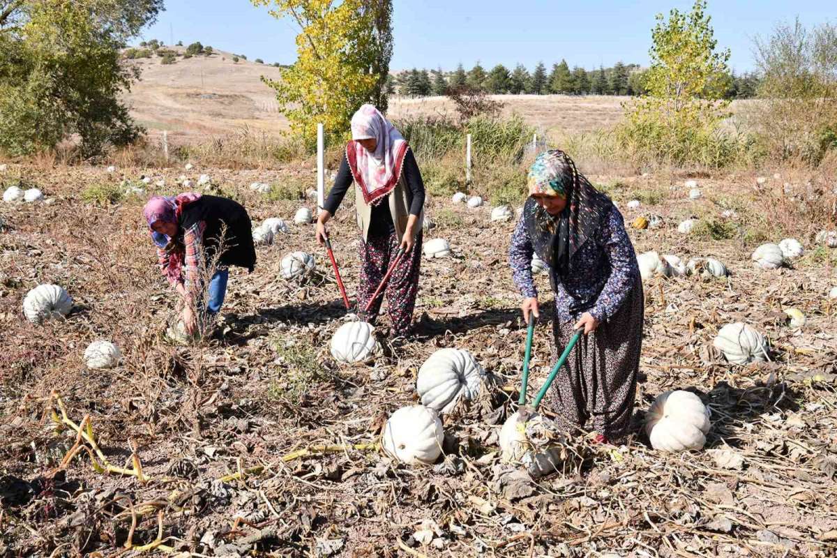 Çiftçi kadınlar kendi ürünlerini tanıtmanın gururunu yaşıyor