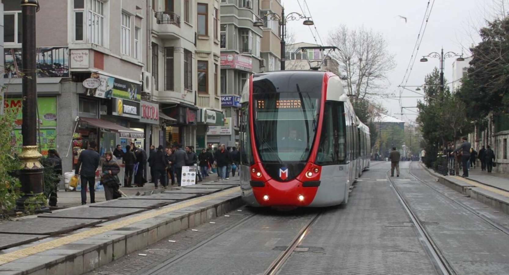 Ağaçlar ‘boş’a çalışmasın