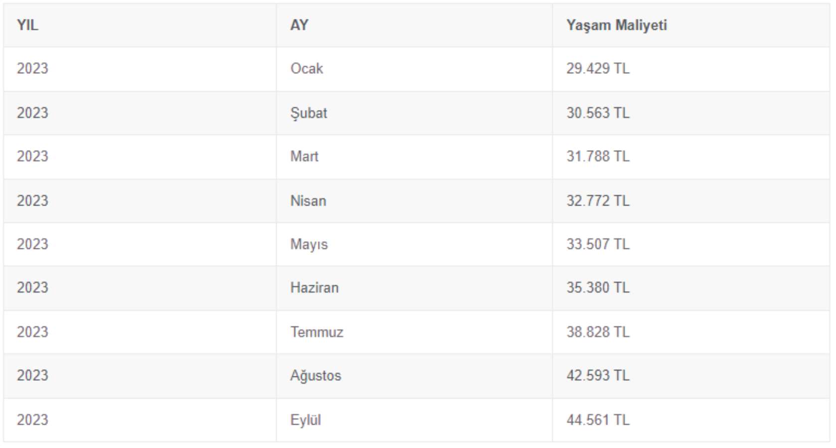 İPA İstanbul'da yaşamanın maliyetini araştırdı