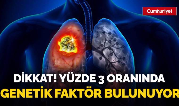 Yürek yakan görüntü: Fırtınada kaybettiği yavrularını arıyor...