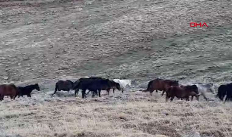 Rıfat Ilgaz’ı kitaplarını imzalıyorken özlemek...