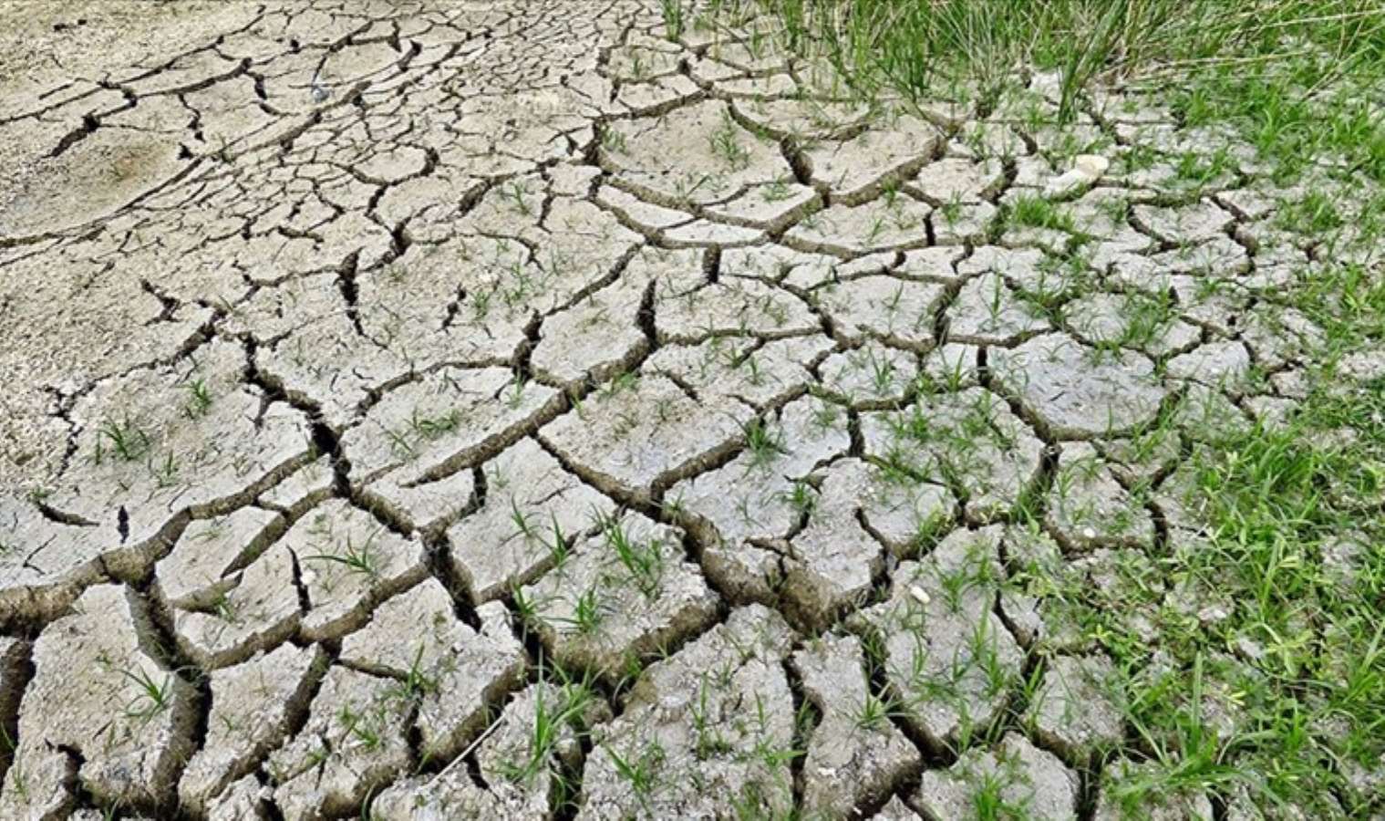 COP28'de anlaşmaya sayılı gün kaldı: Fosil yakıtların kaderi belli oluyor