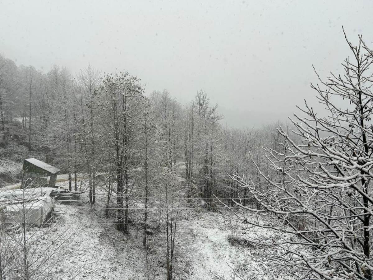 Artvin’de kar yağışı nedeniyle 13 köy yolu ulaşıma kapandı