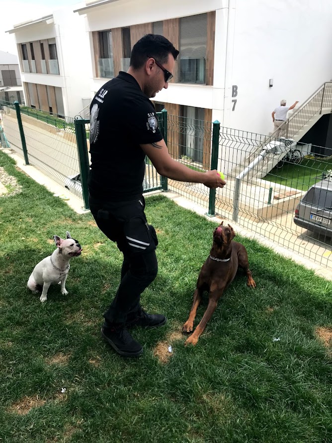 S.I.R K9 Köpek Eğitim Akademisi ile Köpek Sahiplerine Özel Eğitim