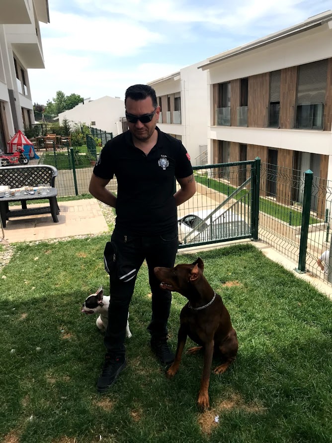 S.I.R K9 Köpek Eğitim Akademisi ile Köpek Sahiplerine Özel Eğitim