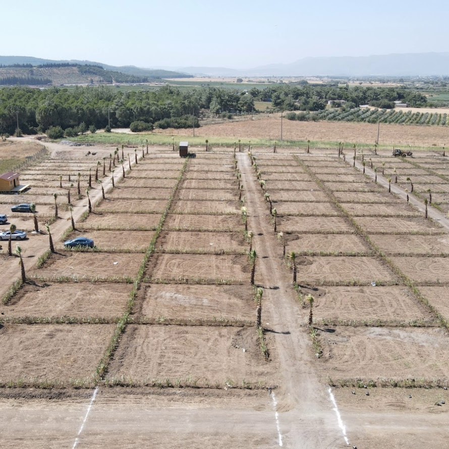 İzmir Menderes’te Yeşilköy Projesi ile Harun Karakaya’nın Betonsuz Yaşam Alanı